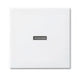 EAN 4011395190272 - Busch-Jaeger 1731-0-2009 placa de pared y cubierta de interruptor Blanco imagen 1
