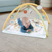 EAN 0194735171385 - Fisher-Price Sensimals HRB15 gimnasio para bebé y tapete de juego Tela, Plástico Multicolor Gimnasio para imagen 3