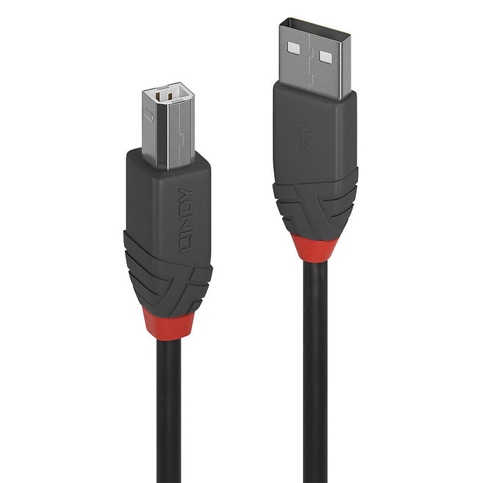 EAN 4002888366700 - Lindy 36670 cable USB USB 2.0 0,2 m USB A USB B Negro, Gris imagen 1