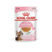 EAN 9003579007167 - Royal Canin 9003579007167 comida húmeda para gatos 85 g imagen 1