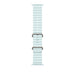 EAN 0195949707339 - Apple MXTF3ZM/A Accesorios para dispositivos vestibles inteligentes Grupo de rock Azul Fluoroelastómero,  imagen 1