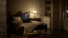 EAN 5055060993477 - Capcom Resident Evil Requiem (Playstation 5) Estándar Plurilingüe imagen 9