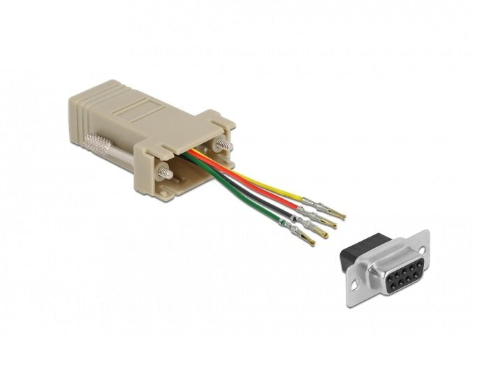EAN 4043619667703 - DeLOCK 66770 cambiador de género para cable D-Sub 9 pin RJ11/RJ14 Gris imagen 1