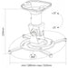 EAN 4005039230677 - Reflecta Supvex montaje para projector Techo Blanco imagen 3