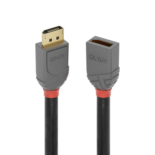 EAN 4002888364959 - Lindy 36495 cable DisplayPort 0,5 m Negro imagen 1