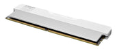 EAN 4895194969099 - Klevv Urbane V RGB módulo de memoria 32 GB 2 x 16 GB DDR5 6000 MT/s 288-pin DIMM imagen 10