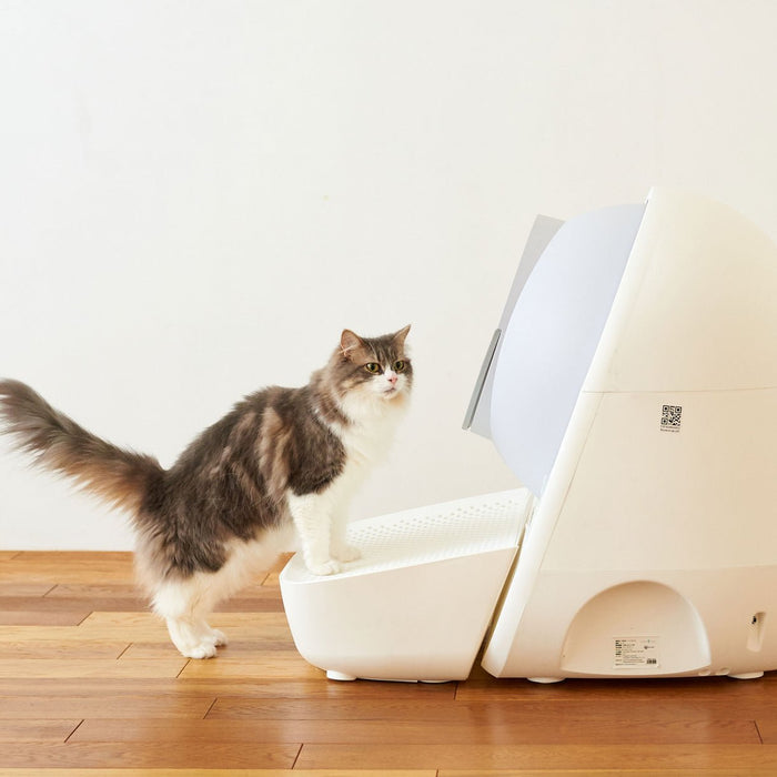 EAN 6972884750057 - CATLINK CL-LBPS-01 accesorio de bandeja higiénica para perro y gato imagen 4