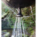 EAN 9327868003488 - Sea To Summit APSHOWER sistema de ducha Negro imagen 4