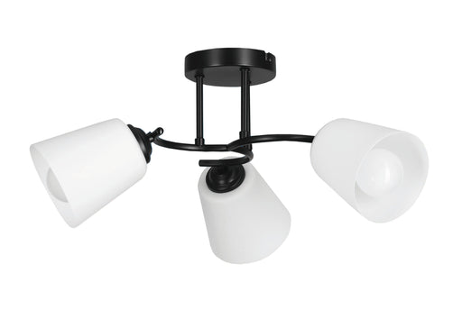 EAN 5901443123101 - Activejet AJE-ALMA 3P iluminación de techo 120 W imagen 1