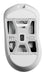 EAN 8809773558303 - PULSAR X3 Mini ratón Juego mano derecha RF Wireless + USB Type-C Óptico 32000 DPI imagen 2