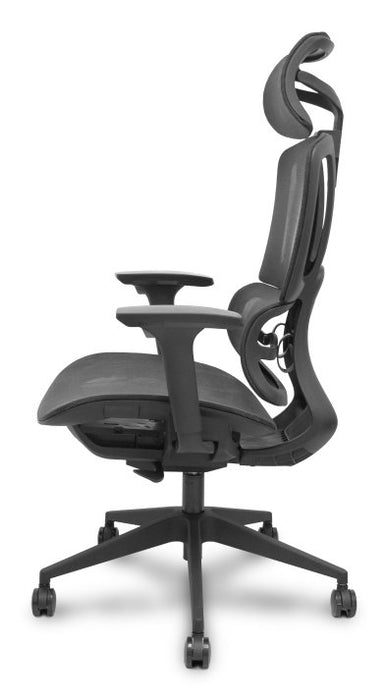 EAN 8435501019626 - PIQUERAS Y CRESPO Pro537 Asiento acolchado Respaldo de malla imagen 3