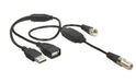EAN 4043619130061 - DeLOCK 13006 cable coaxial RG-174 0,22 m 1 x IEC female 1 x IEC plug, 1 x USB 2.0 Type-A female, 1 x USB  imagen 1
