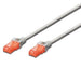 EAN 8032958189003 - Ewent IM1000 cable de red Gris 0,5 m Cat6 U/UTP (UTP) imagen 1