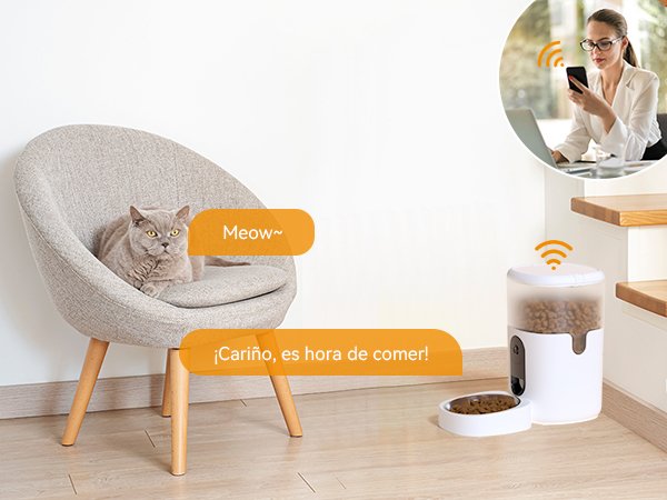 EAN 6976391032576 - Imou PF1 4L comedero y bebedero para perro y gato Acero inoxidable Blanco Comedero automático para mascot imagen 13