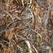 EAN 8718127036421 - Buteo Photo Gear 720233 escondite o accesorio de caza imagen 5