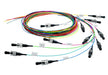 EAN 4018359336523 - Telegärtner 100011719 Cable de fibra óptica e InfiniBand 2 m 12x LC Multicolor imagen 1