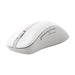 EAN 0197105537590 - ASUS Wireless Mouse MD102 ratón Universal mano derecha RF Wireless + Bluetooth Óptico 1600 DPI imagen 2