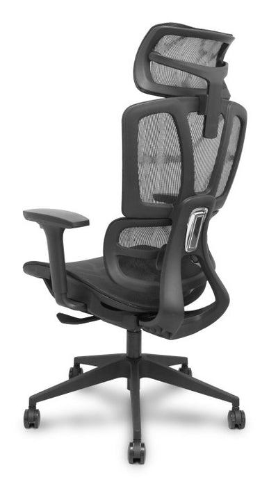 EAN 8435501019626 - PIQUERAS Y CRESPO Pro537 Asiento acolchado Respaldo de malla imagen 4