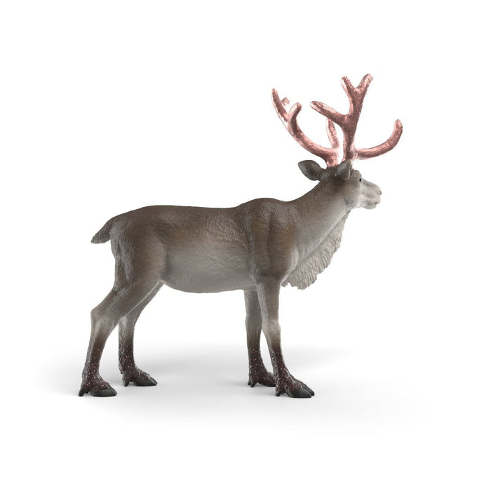 EAN 4069111772967 - schleich Vida Salvaje 75004 figura de juguete para niños imagen 6