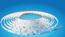 EAN 4038816140678 - Synergy 21 S21-LED-F00144 cinta luminosa Regleta luminosa universal 12 W 5000 mm imagen 1