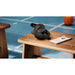 EAN 4895229177482 - Philips TAH4000BK/00 auricular y casco Auriculares Inalámbrico Diadema Llamadas/Música USB Tipo C Bluetoo imagen 8