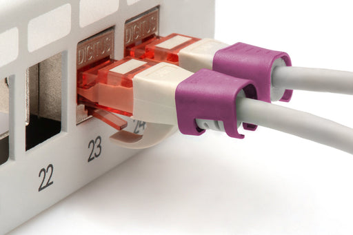 EAN 4016032496496 - Digitus A-CC-MG accesorio para cable Clavija de codificación por colores imagen 2