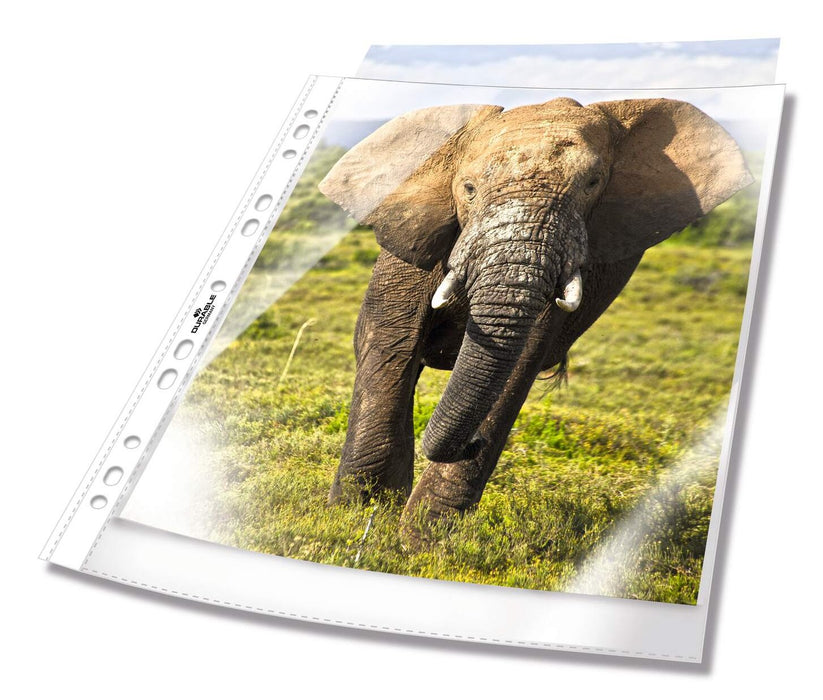 EAN 4005546219776 - Durable 265819 protector de hojas 210 x 297 mm (A4) Polipropileno (PP) 100 pieza(s) imagen 1