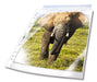 EAN 4005546219776 - Durable 265819 protector de hojas 210 x 297 mm (A4) Polipropileno (PP) 100 pieza(s) imagen 1