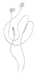 EAN 8435430627213 - NGS CROSS DRIFT WHITE Auriculares Alámbrico Dentro de oído Llamadas/Música Blanco imagen 4