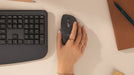 EAN 5099206134096 - Logitech Signature Comfort Plus Combo MK880 teclado Ratón incluido Universal RF Wireless + Bluetooth QWER imagen 8