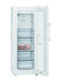 EAN 4242003888643 - Siemens iQ300 GS29NVWEP congelador Congelador vertical Independiente 200 L Blanco imagen 3