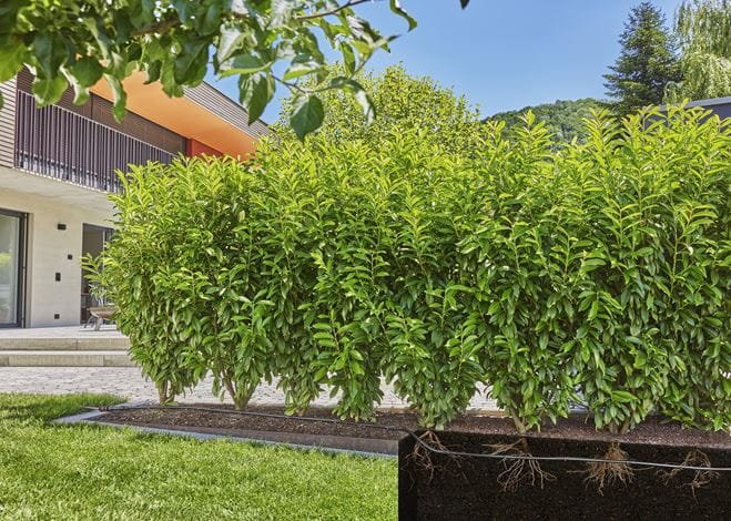 EAN 4066407003064 - Gardena 13500-20 sistema de riego por goteo imagen 4