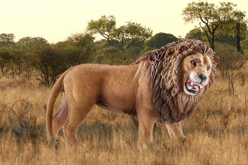 EAN 4005086147263 - schleich Vida Salvaje 14726 figura de juguete para niños imagen 2