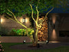 EAN 8718696174364 - Philips Hue White and Color ambiance 1746230P7 Iluminación en poste/pedestal inteligente Bluetooth/Zigbee imagen 7