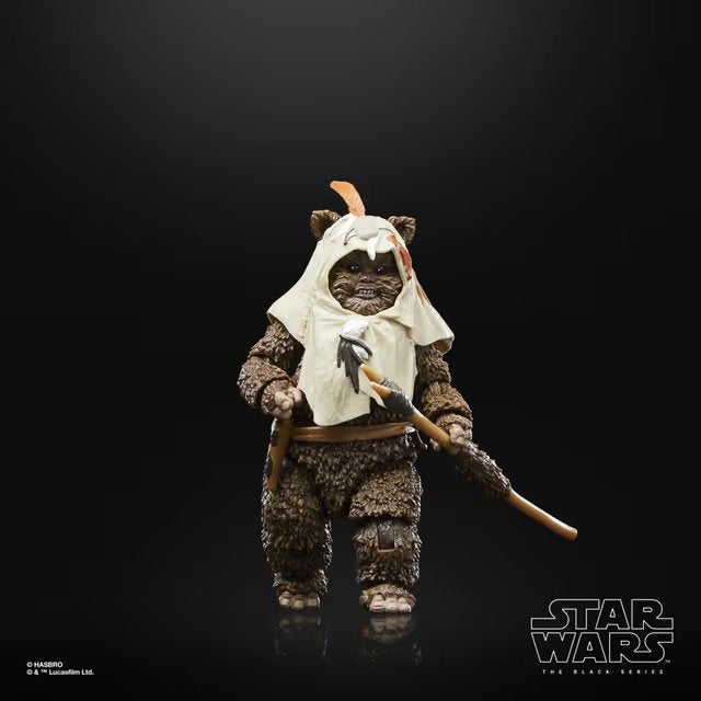 EAN 5010996135551 - Star Wars The Black Series Paploo imagen 8