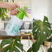 EAN 4052025266684 - Relaxdays 10026668 rociador de jardín Pulverizador manual 1,5 L imagen 3