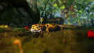 EAN 3700664534435 - Merge Games Smalland: Survive the Wilds imagen 11
