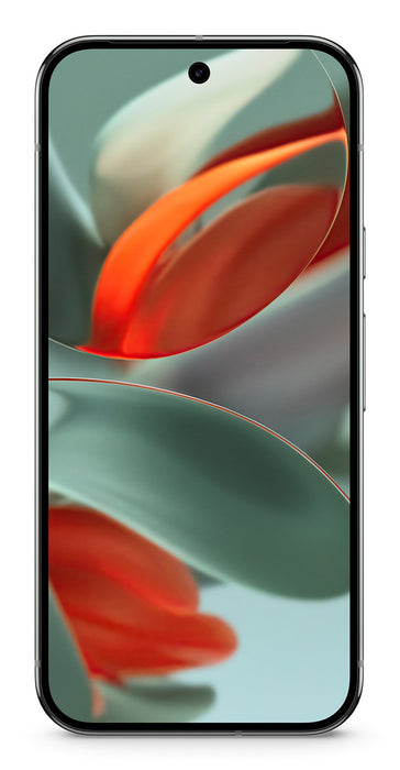 EAN 0840353914421 - Google Pixel 9 Pro XL 17,3 cm (6.8") SIM doble Android 14 5G USB Tipo C 16 GB 128 GB 5060 mAh Verde imagen 1