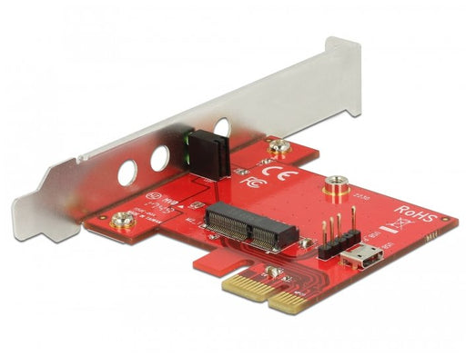 EAN 4043619898893 - DeLOCK 89889 tarjeta y adaptador de interfaz Interno M.2 imagen 1