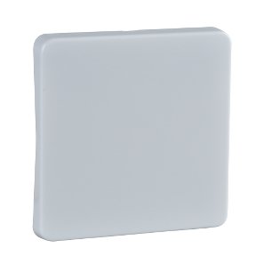 EAN 4013984110197 - Schneider Electric 213604 accesorio de interruptor eléctrico Llave imagen 1