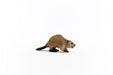 EAN 4059433364582 - schleich Vida Salvaje 14855 figura de juguete para niños imagen 4