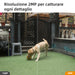 EAN 6939554945694 - Imou Bullet 2S imagen 2