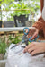 EAN 4066407003149 - Gardena MultiCut tijeras de podar Evitar Negro, Verde imagen 4