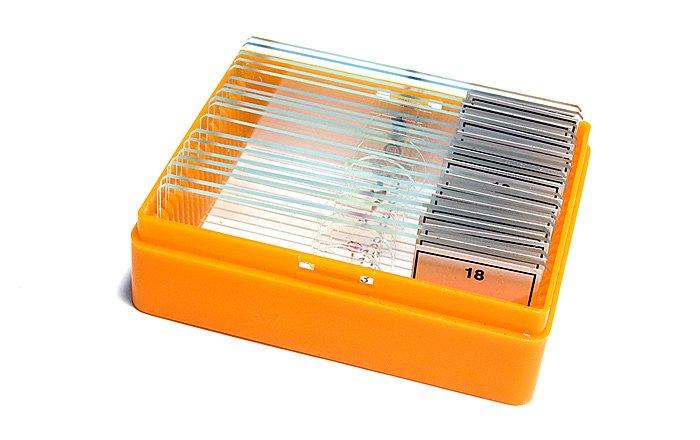 EAN 611901511061 - Levenhuk N18 NG preparatenset Vidrio Portaobjetos de microscopio imagen 12