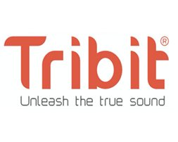 EAN 6972312839934 - Tribit T-BTS38S altavoz Bluetooth mano libres Negro imagen 1