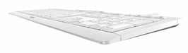 EAN 4025112109232 - CHERRY JK-8500HU-0 teclado Hogar / Oficina USB QWERTZ Húngaro Gris claro imagen 4