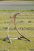 EAN 4030454003896 - AMAZONAS AZ-4013000 soporte de hamaca 1270 mm Madera imagen 2