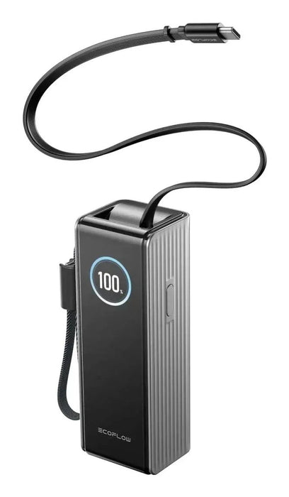 EAN 4895251653664 - EcoFlow EF-RAPID25K100W-S-EU batería externa 25000 mAh Negro, Plata imagen 3