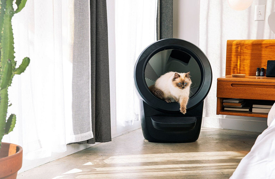 EAN 0810034226600 - Litter-Robot Litter Robot 4 Gato Arenero con limpieza automática Gris imagen 4