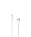 EAN 190199135895 - Apple iPod touch 32GB Reproductor de MP4 Gris imagen 4